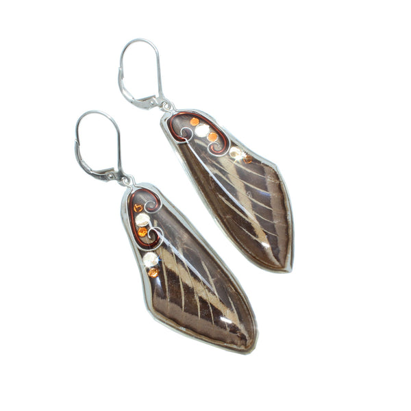 Moth Wing Earrings