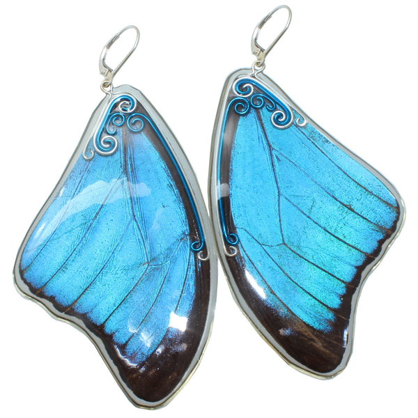 Blue Morpho Butterfly Wing Earrings